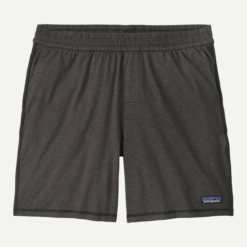 Patagonia Men's 2-Loose Quick-Dry Travel Shorts
