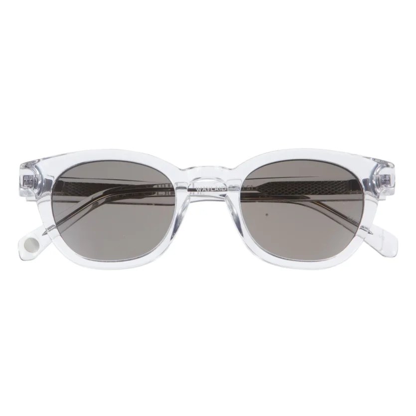 Warby Parker Durand Polarized Sunglasses